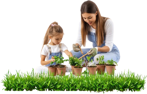 Khát Khao Trở Về